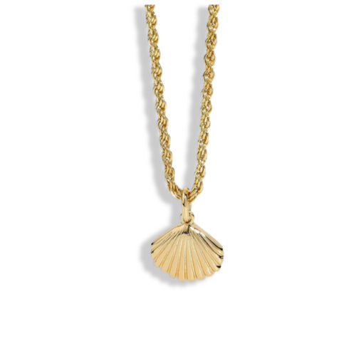 Rope Chain Seashell Halsband